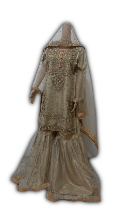 WEDDING DRESS GOLD COLOUR VOL 1